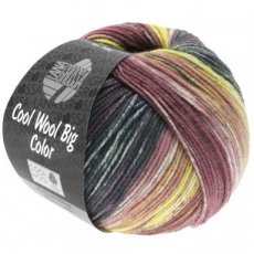 Cool Wool Big Color 4016