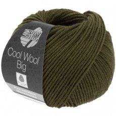 Cool Wool Big 1005